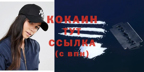 дживик Осинники