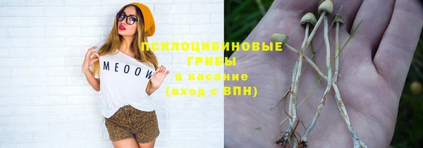 тгк Баксан